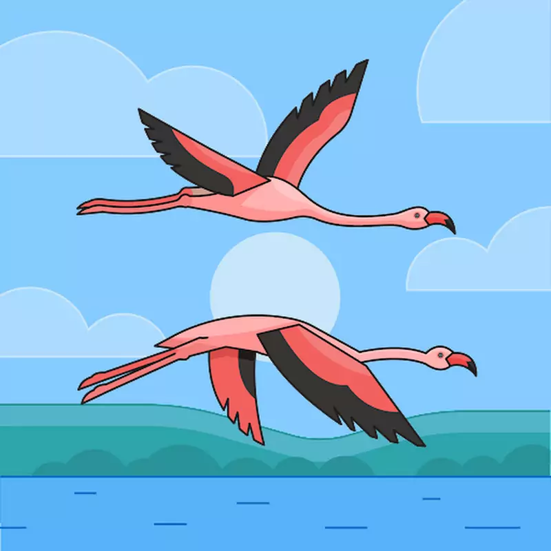 Susu's Cycling Corner