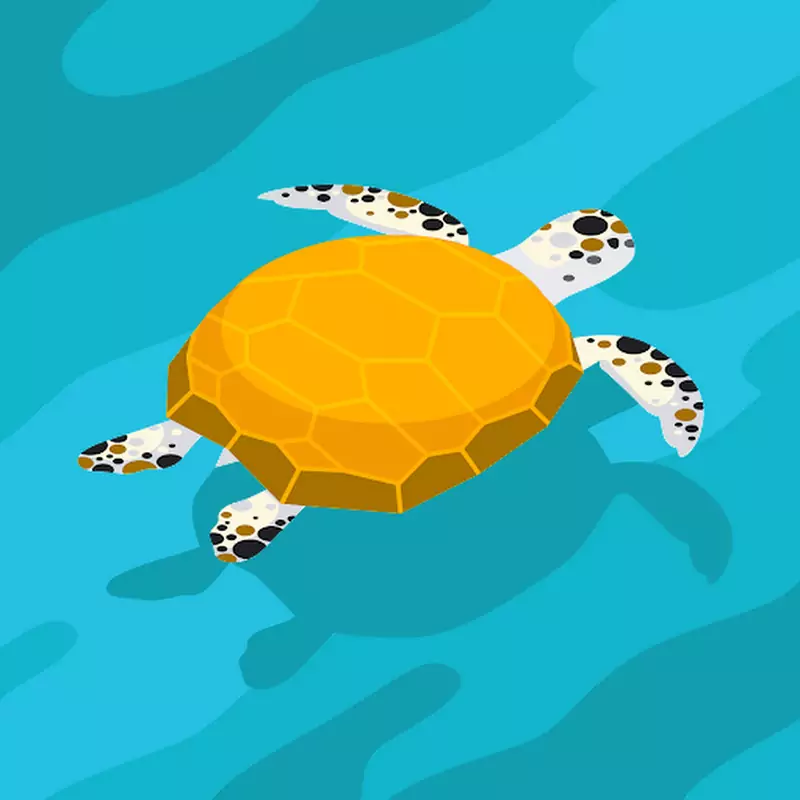 山系卡波M'wilder Couple