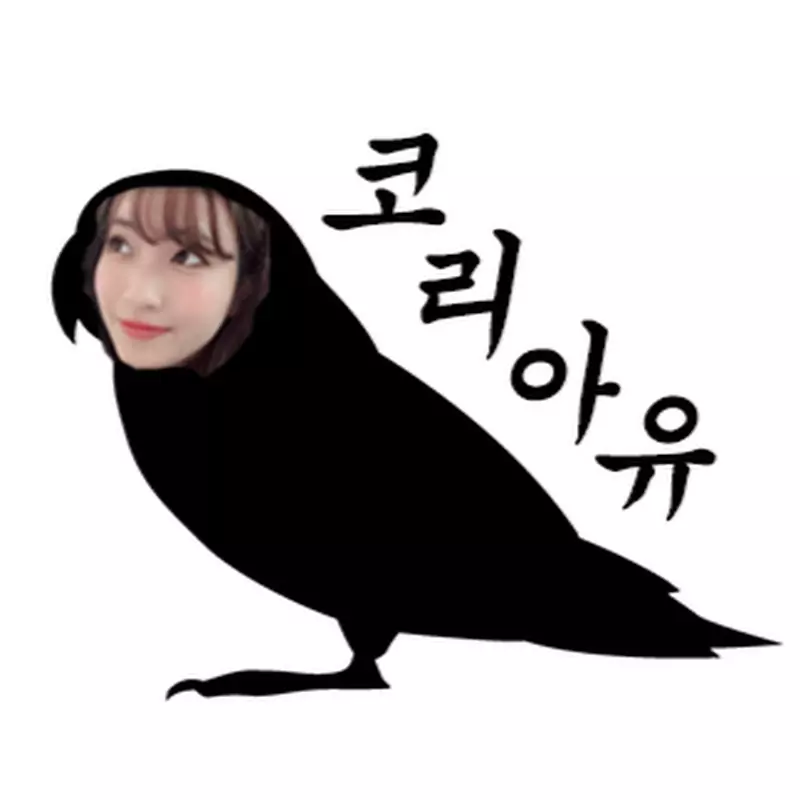 韓国ブロガーこりあゆ/코리아유