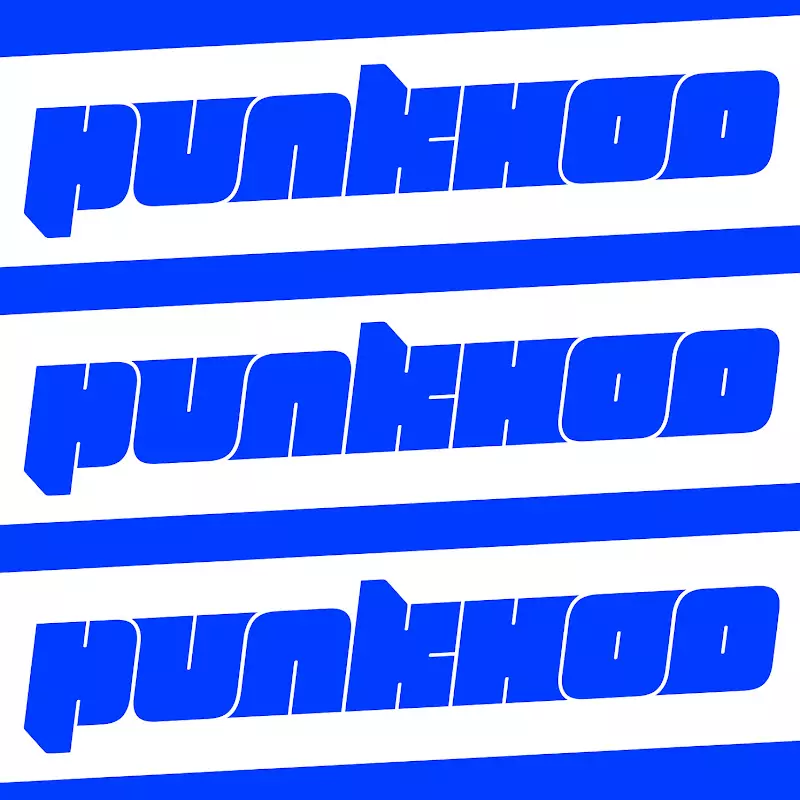 punkhoo胖虎