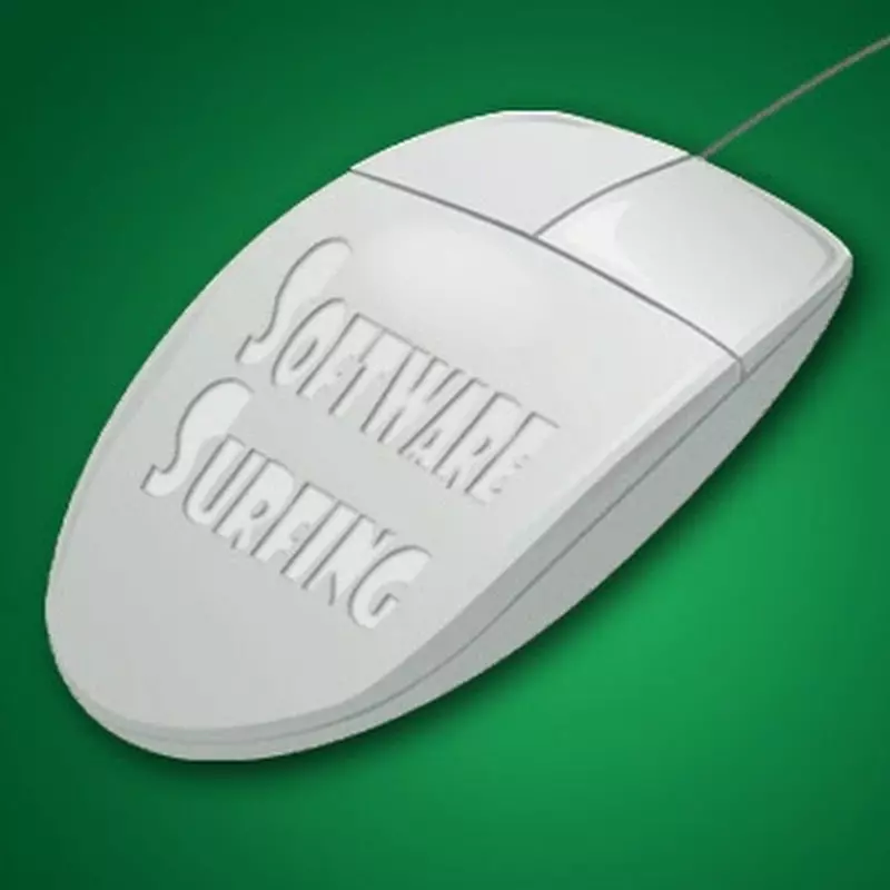 Software Surfing