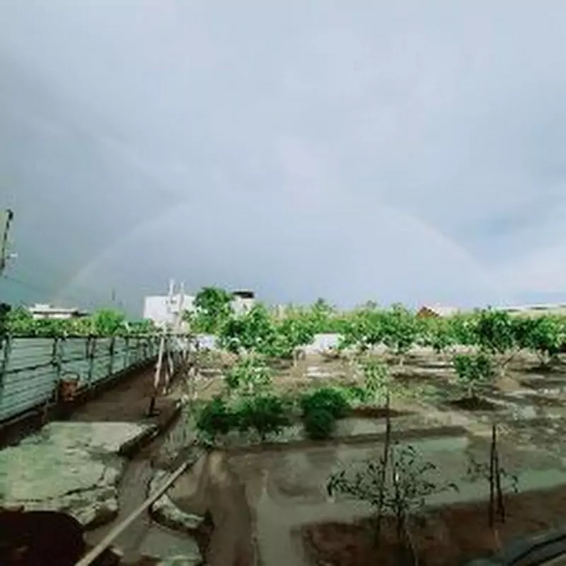 林珮君專屬君團