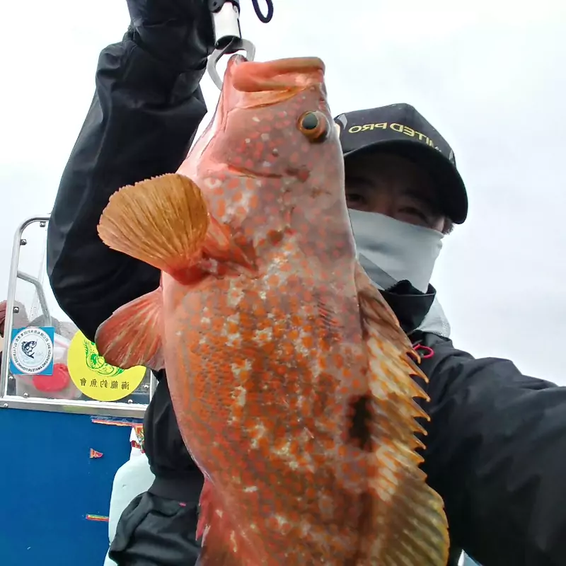 Jackson fishing newbie 新手釣魚佬