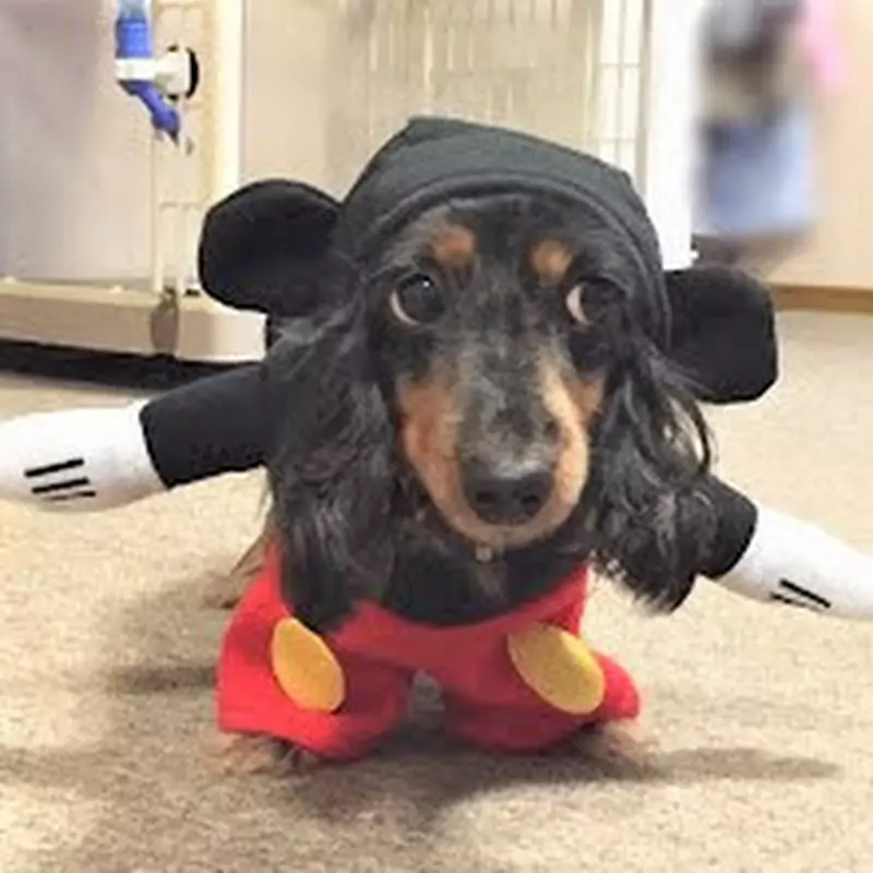 おかちゃんネル