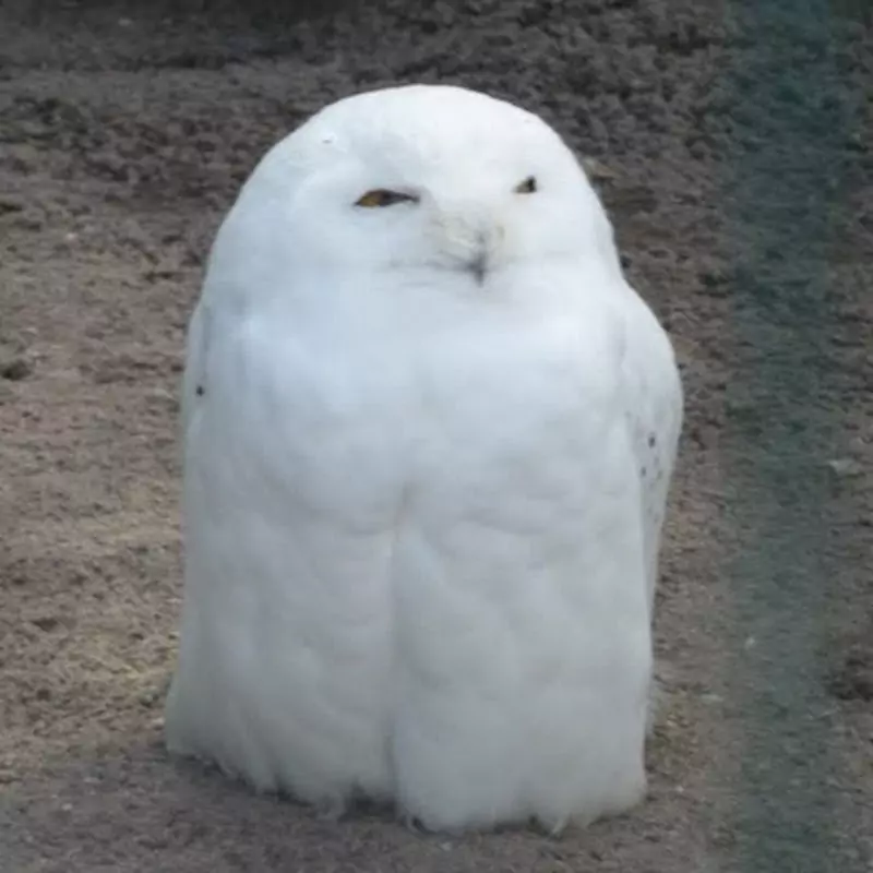 みざちゃんねる