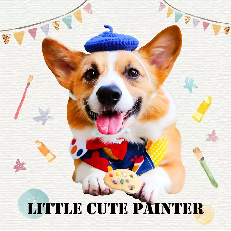 柯基犬肥油 X 吃喝拉撒日誌