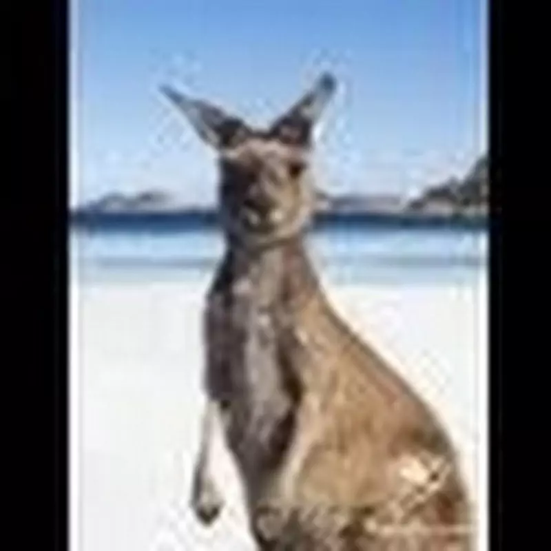 australiahk