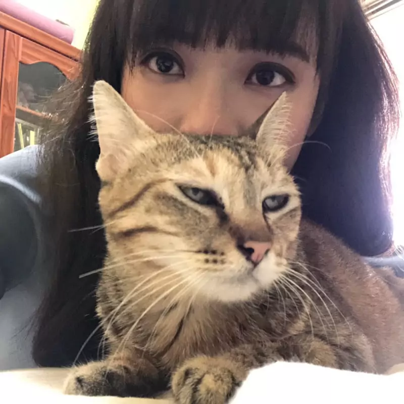 高雄市議員鳳山黃捷