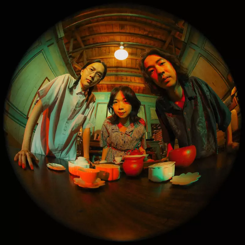 百合花liliumtaiwan