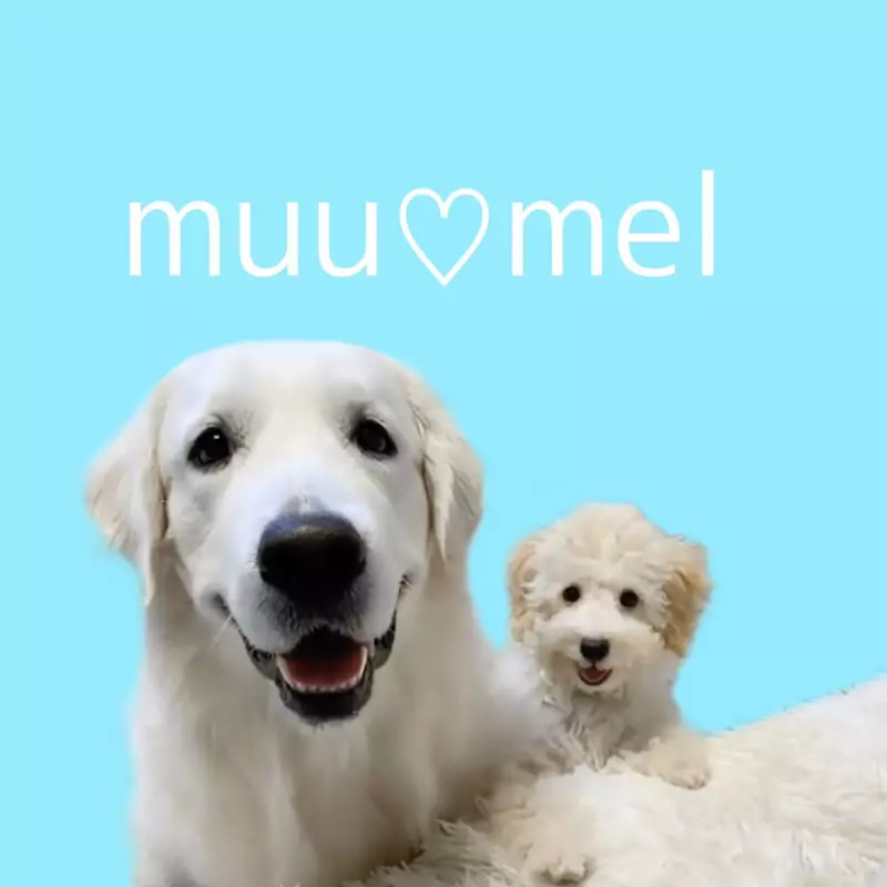 【むうめるTV】