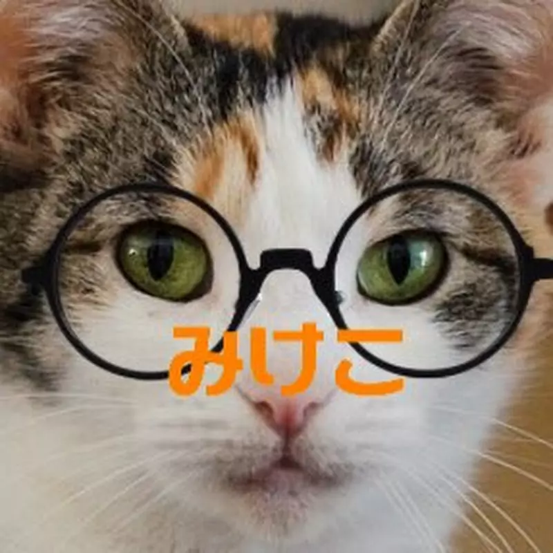 みけこちゃんねる