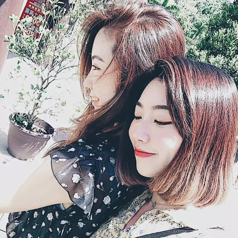 那對姐妹 Sisters' Diary