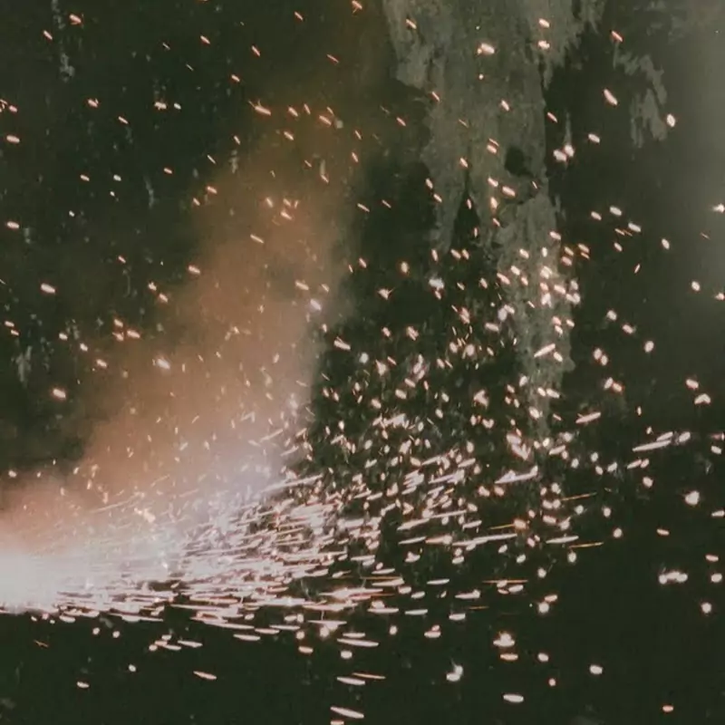 No Party For Cao Dong 草東沒有派對