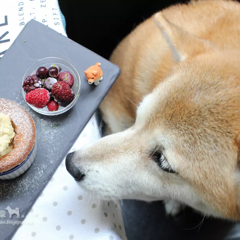 *:.。廚房一隻柴。.:* Baking with Shiba-inu KAMI
