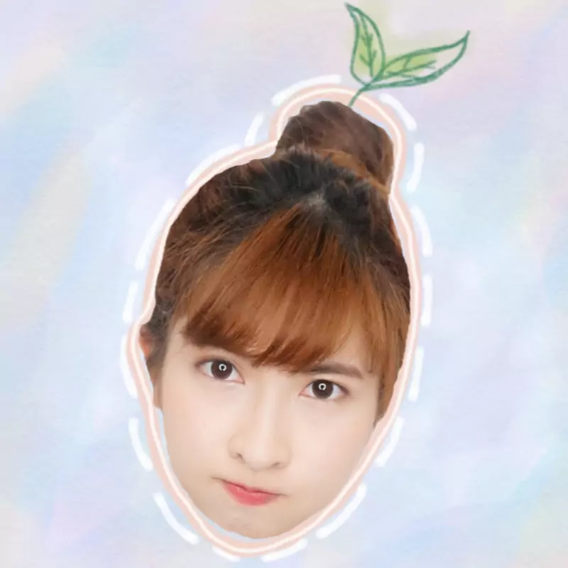 肥面龐妮Ponychoi