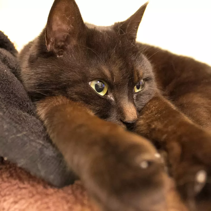 YamatoStyle セカンドチャンネル